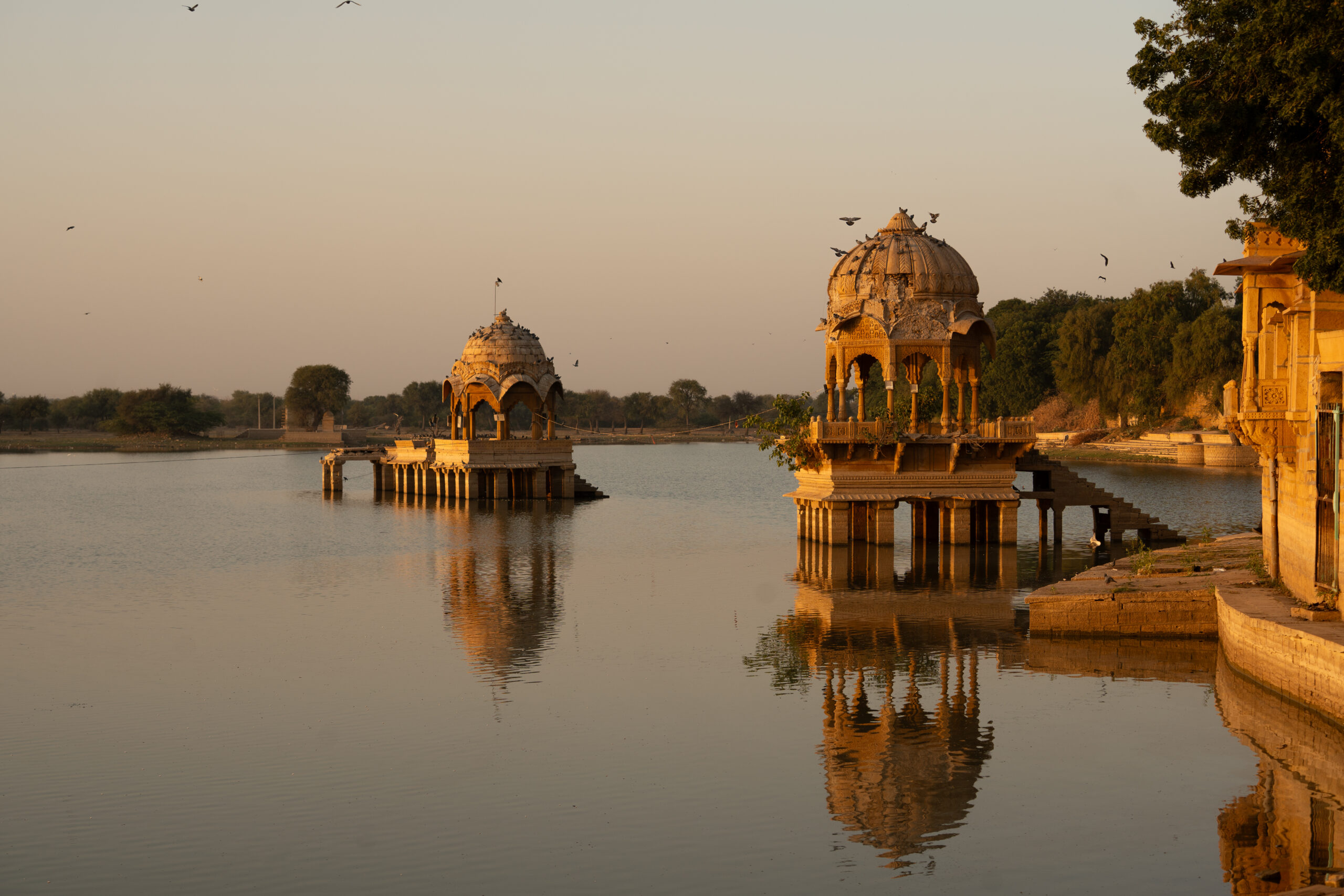 Jaisalmer Golden Hour